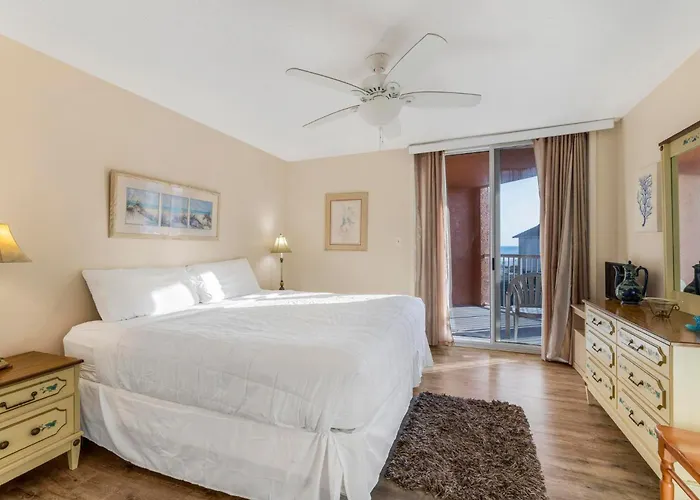 Buena Vista 203 By Collection